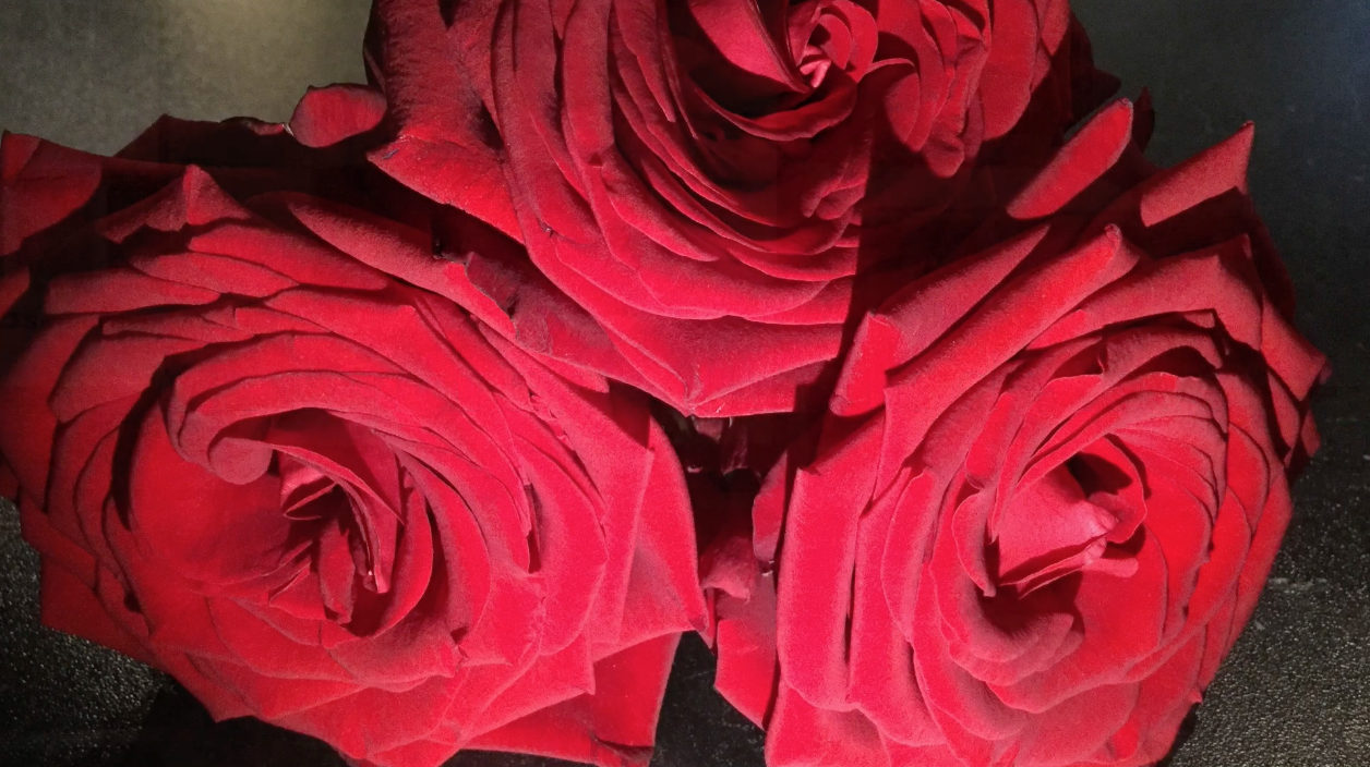 Un reportage à l'eau de rose